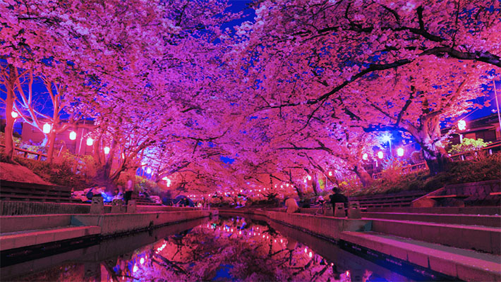 Best of Japan 07 Nights / 08 Days
